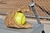 A softball,glove, and bat _tiny